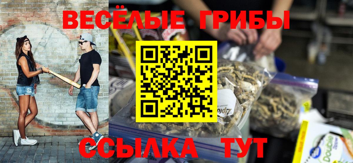 где найти   Псилоцибиновые грибы мицелий  Вход с VPN  Ногинск 
