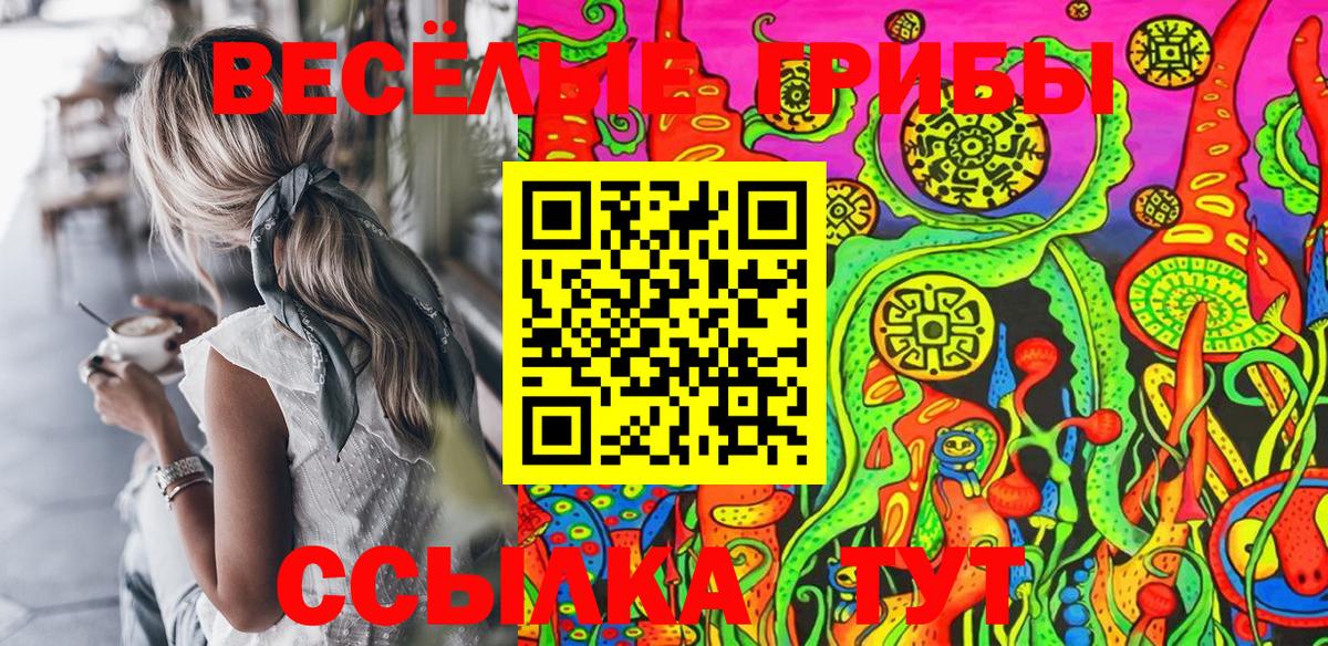 Псилоцибиновые грибы Cubensis Ногинск